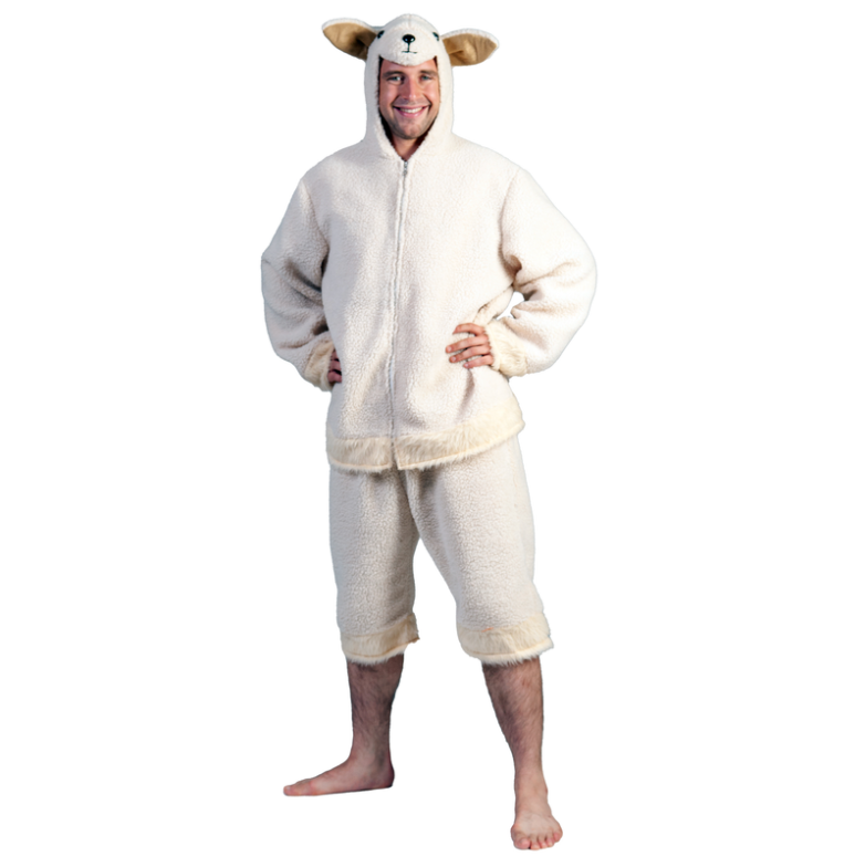 Schaap