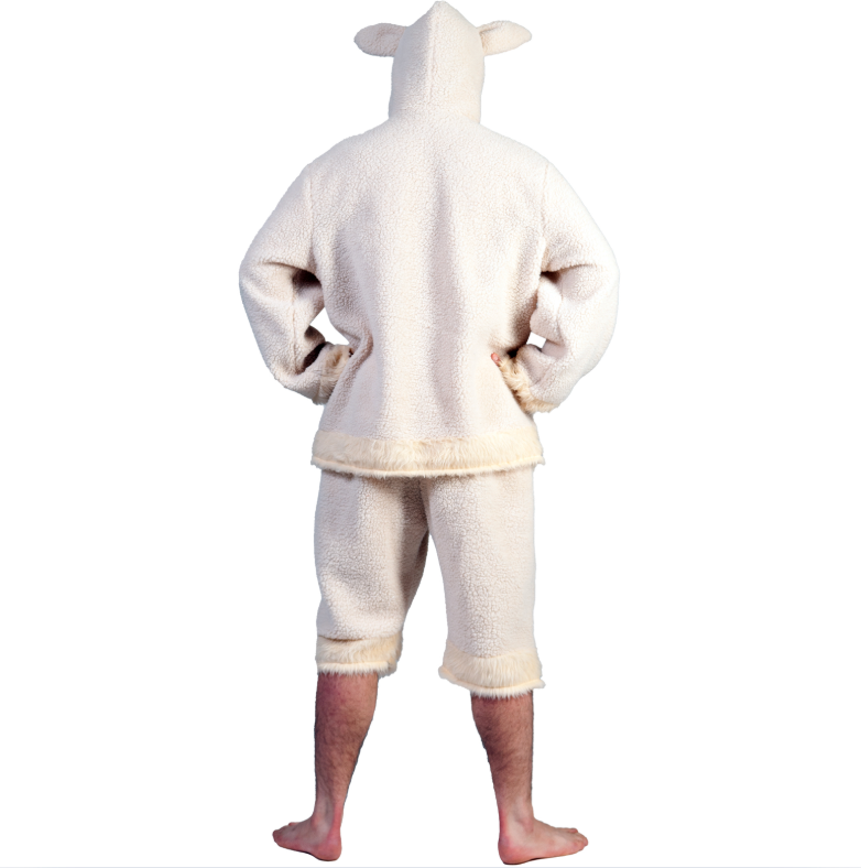 Schaap