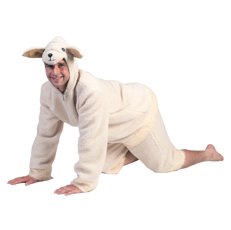 Schaap