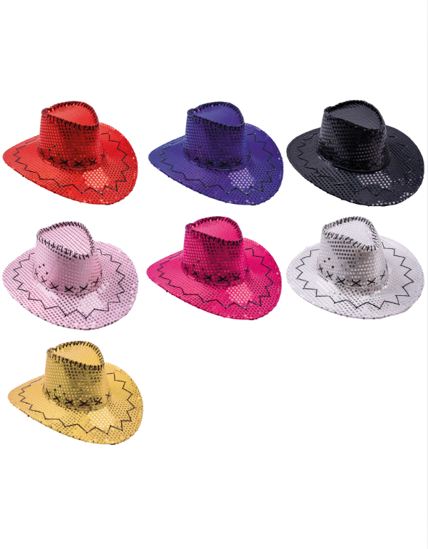 Cowboyhoed pailletten Zilver