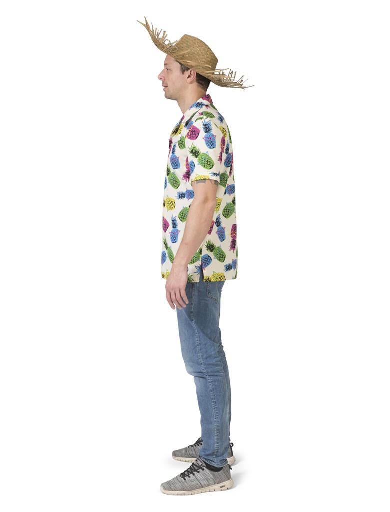 Ananas Blouse