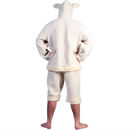 Schaap